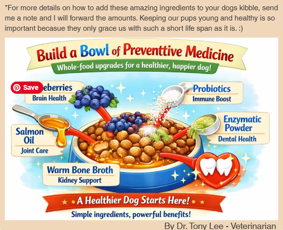 This image shows you how you can improve your dogs diet by addi
