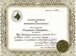 training certificate