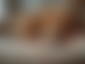 A dog lying down on his bed with a stuffy