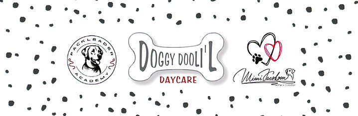 Facebook banner 