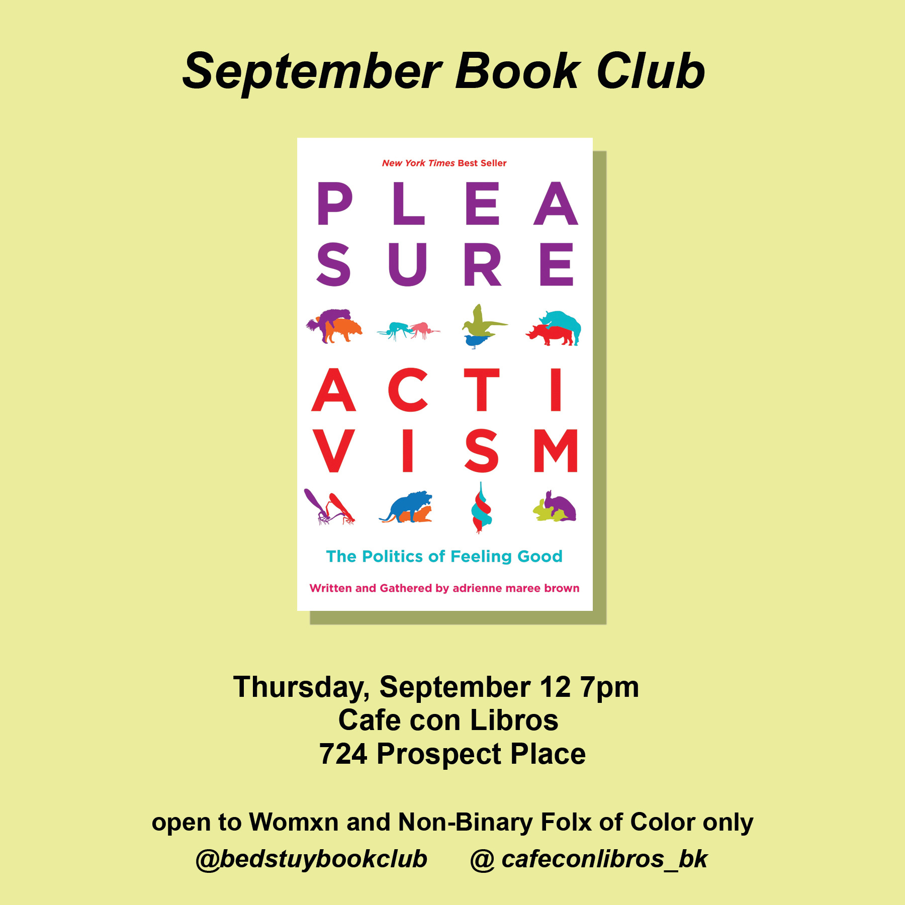 Pleasure Activism Bedstuy Book Club Collab