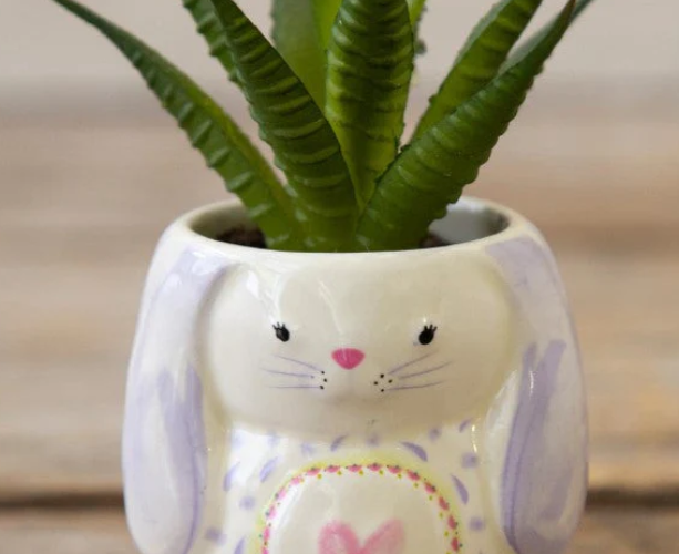Adorable bunny pot succulent, an Easter Gift