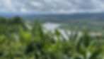 The Peruvian Amazon