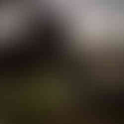 Farm Stay Muddy Waters