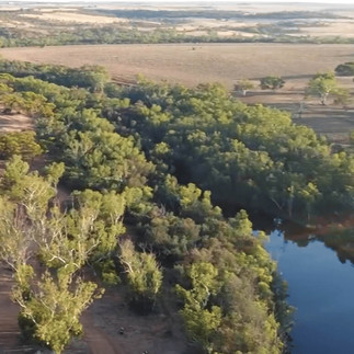Ariel view of ellendale pool