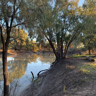Muddy Waters Farm Stay - Barwon River