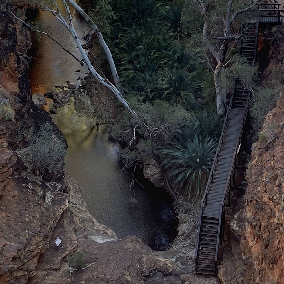 Kings Canyon - Garden of Eden