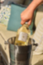 _DSF1210_BAR-CAPRI_PROSECCO_BOTTLE (1)-min.jpg