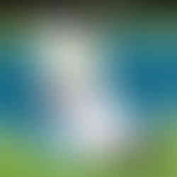 funny pickle playing pickleball custom pickleball socks