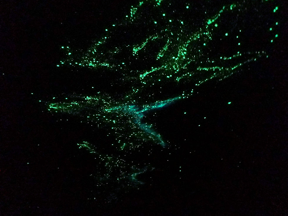 Glows all night!