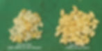 Material of popped rice cakes