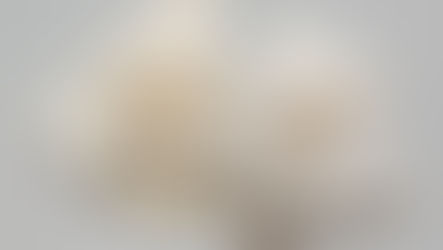 Triangle popped chips machine _ SYP5310T