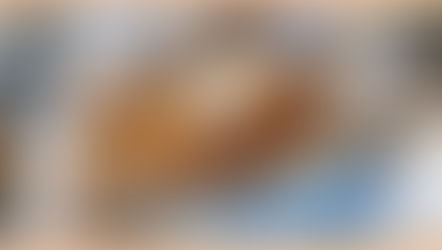 Opciones que se pueden agregar a nuestro SYP Tortitas de arroz máquina