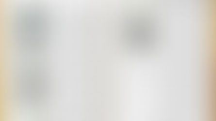 Special shaped Rice cakes