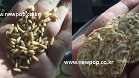 Test of 100% Oat by SYP4506