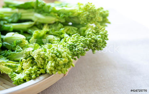 AdobeStock_416725770_Preview.jpeg