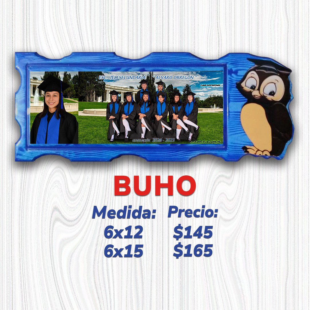 Buho