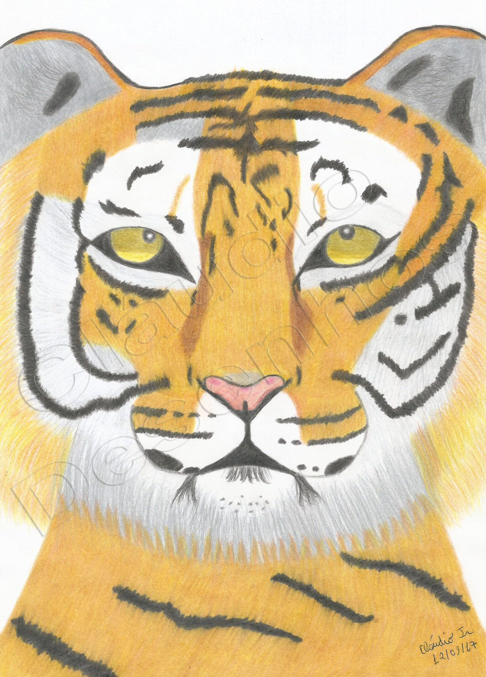 Tigre - Desenho feito a Mão Livre