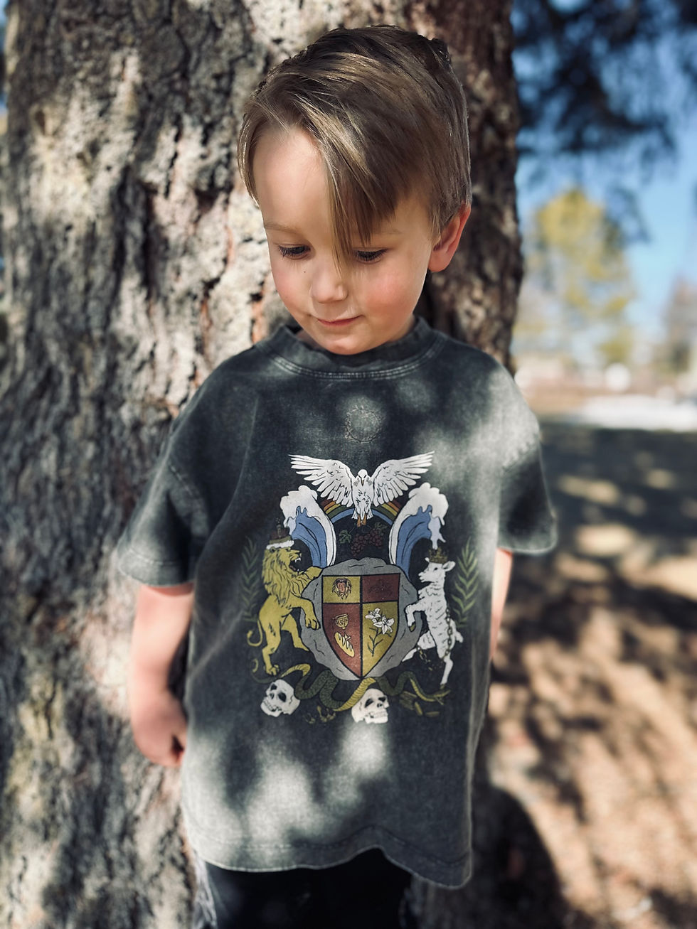 Coat of Arms Kid's Tee
