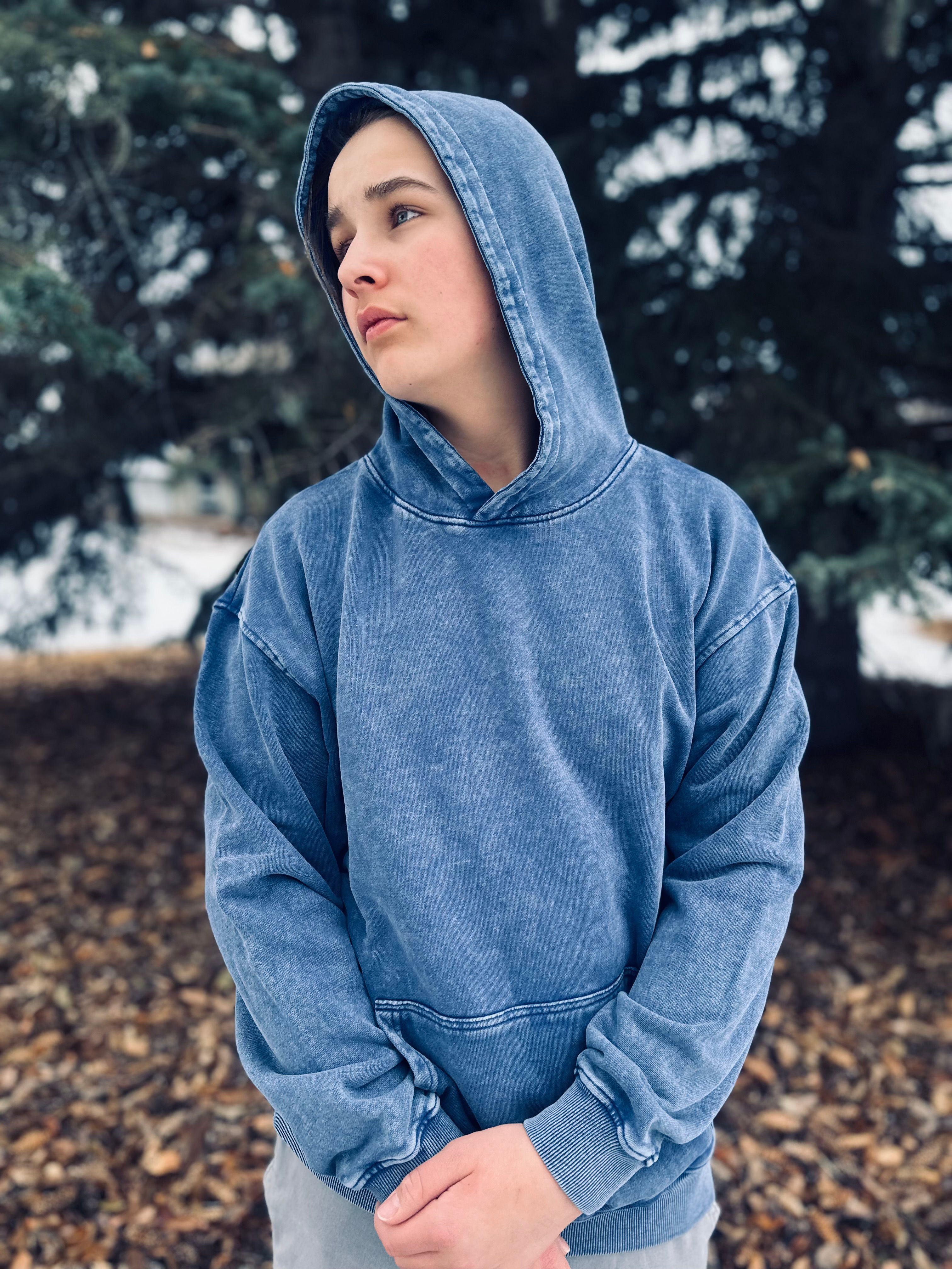 Coat of Arms Hoodie