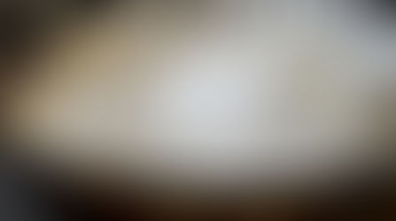 Cremeschnitte [Yan Jin, United States, 2021]