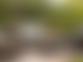 The Best Way to Clean Your Patio Furniture and Grill