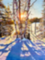02082 - I'll Be Here In the Morning 48x36_sml