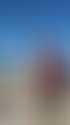 Peggy's Cove Tours from Halifax