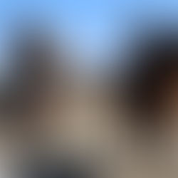 Vetrarleikar 3 og Firmakeppni 