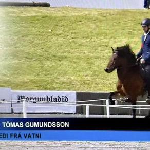 Sótafélagar hafa lokið keppni á LM
