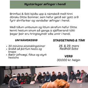 Námskeið með Ditte Sommer