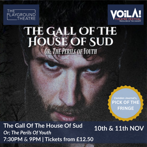 The Gall Of The House Of Sud: The Perils of Youth Play | 10th-11th NOV - Voila! Theatre Festival