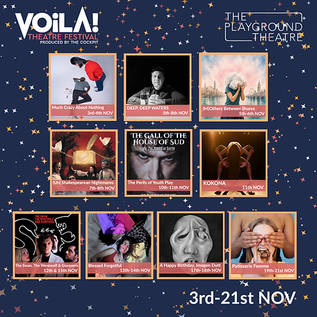 Voila Festival 2026