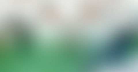 Understanding Working to Live vs Living to Work