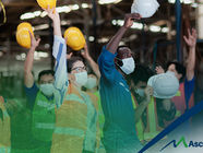 Give Thanks to Your Team This Thanksgiving