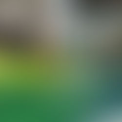 8 Employee Engagement Ideas