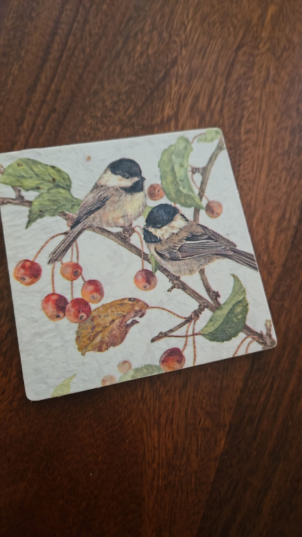 Thumbnail: Forest Friends