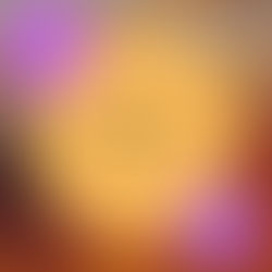 25h BASISAUSBILDUNG *YOGA FÜR SCHWANGERE* / MODULE 1- 3