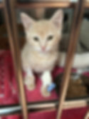image3.jpeg