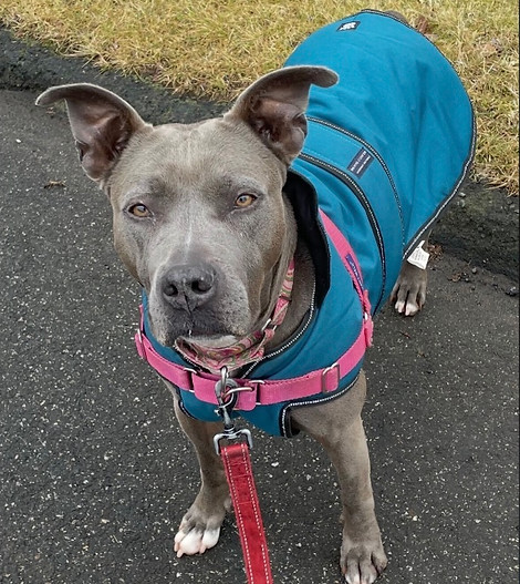 Image 1-19-26 at 12.57 PM.jpeg