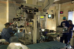 انفصال الشبكية4