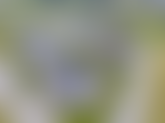 Welcome to Bethpage, N.Y: Your Ideal Community