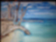 Cayo Costa frasmed in driftwood