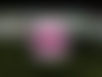 《唯心訣》節錄一