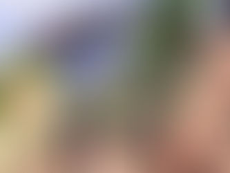 Moradores da Charnequinha cobram infraestrutura e vereador Cianinho reforça pedido ao Executivo