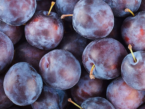 pr-tn-fruit-plum.jpeg