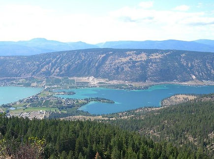 pic1.jpg