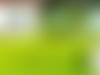 Win Rocket Observer Passes