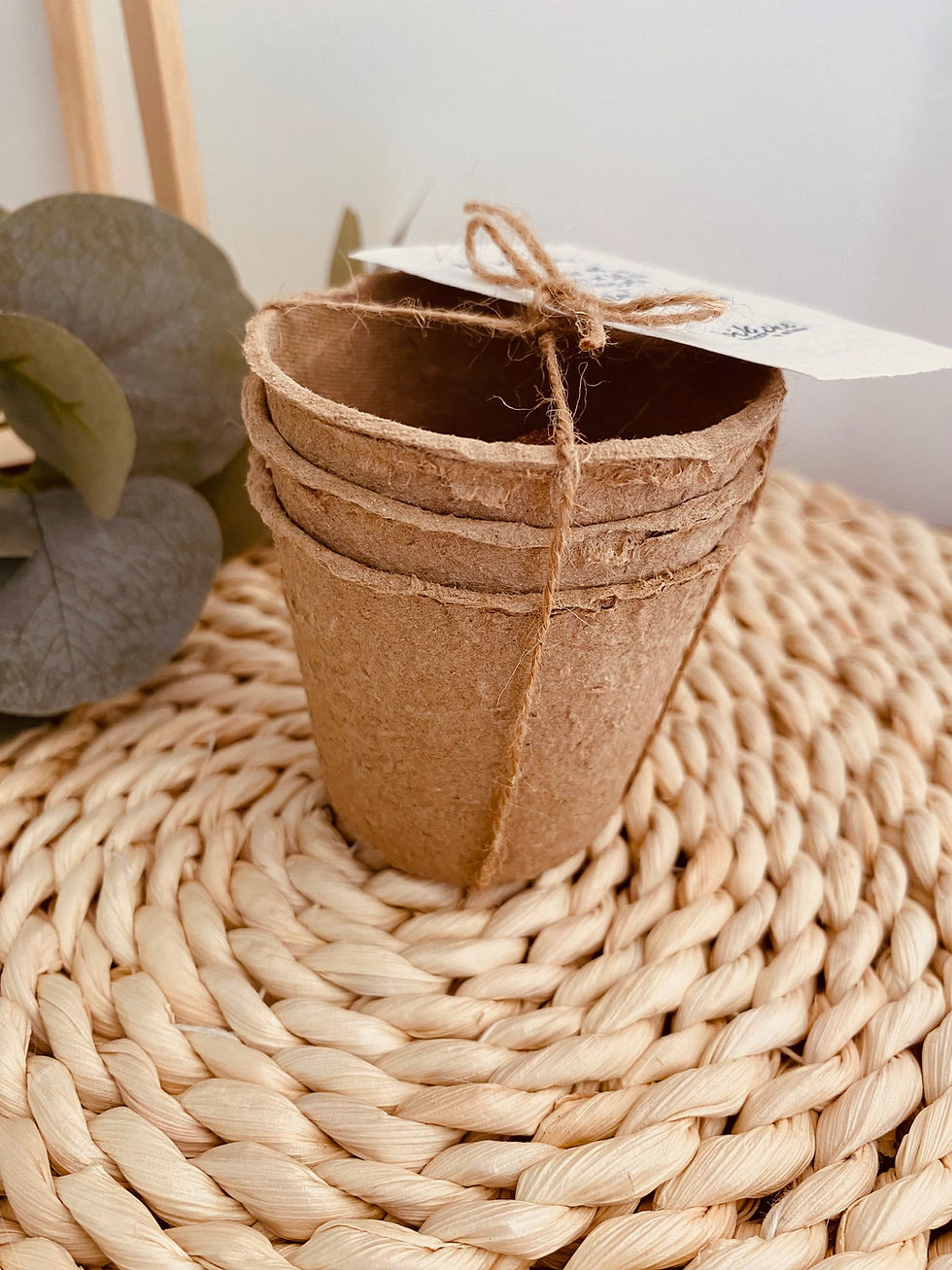 Miniature : Kit pour semis