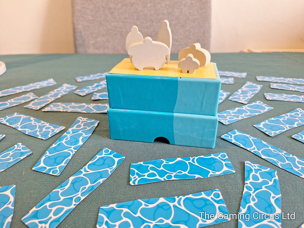 Rafter Five Board Game set up